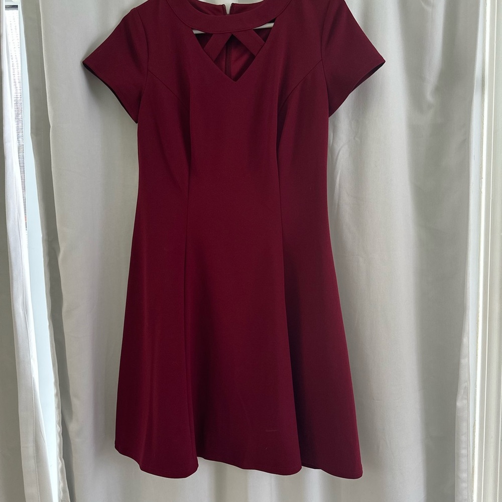 Alyx Deep Red Mini Dress